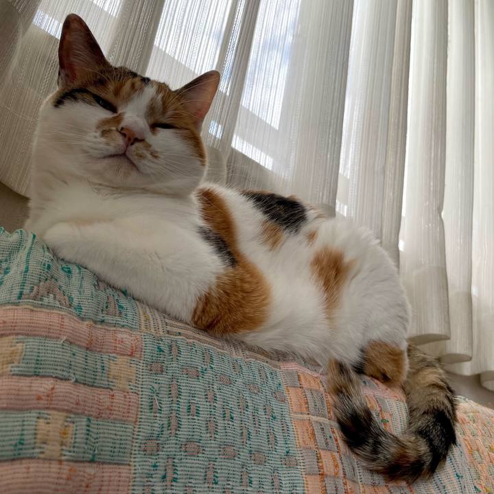 69044dd5 366a 4347 8c9b fdde8e35382a 1651450349254