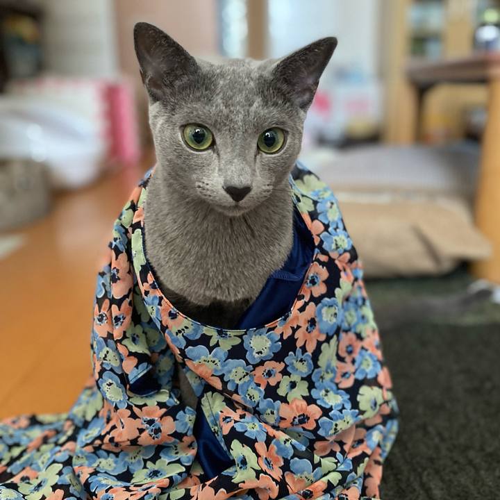 69046819 701c 425e 9809 6d1814110cec 1627177976737