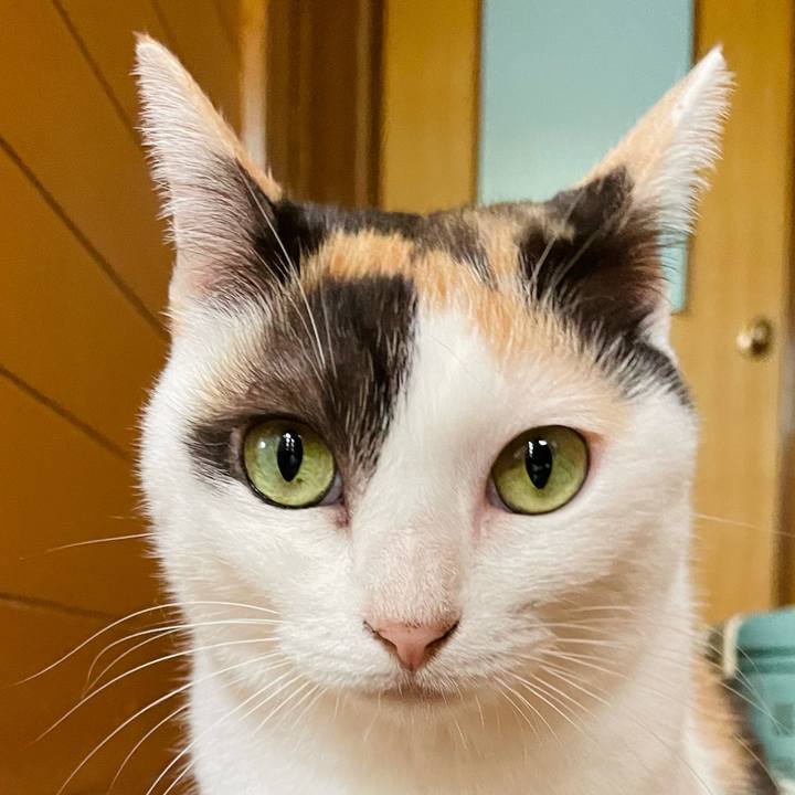 69046853 26ae 4186 9222 9518eeb6bdeb 1635560354118