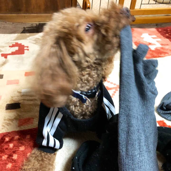 69048698 5efd 4fd8 b466 891afdf7f98b 1552912026708