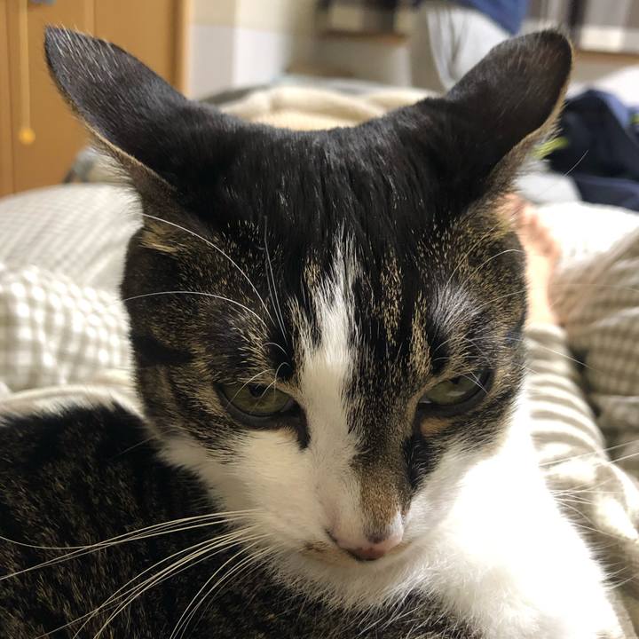 69048eb0 1e7a 47ee b3ae 203d9ac3d1bf 1605495201860