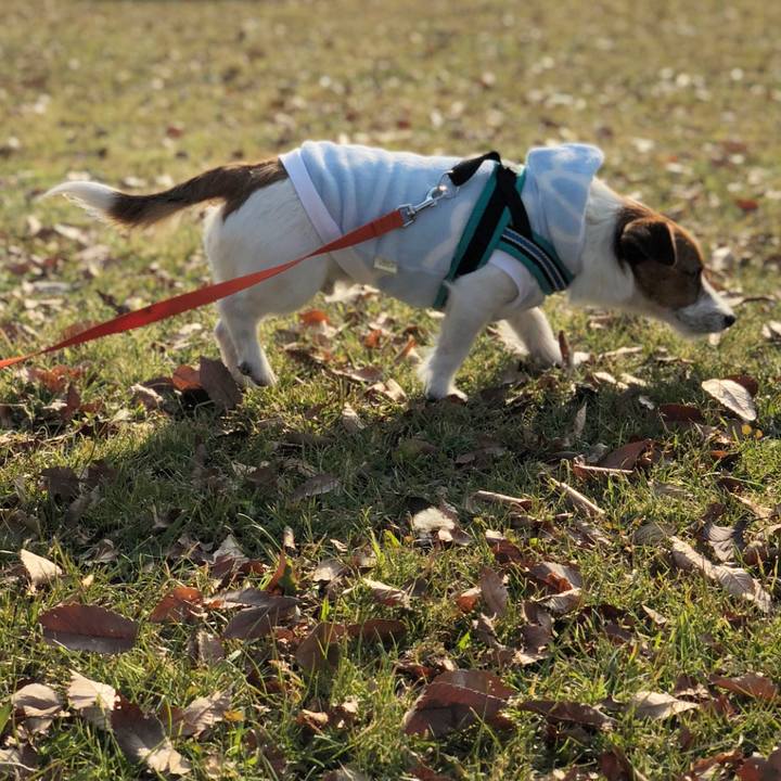 690491dc 167b 4236 b6a4 d5481aab27d5 1514374602336