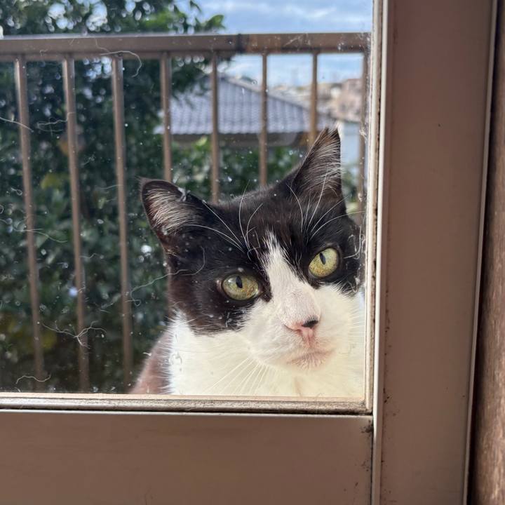 69049738 ec82 4048 b411 b797af31e077 1761690295956