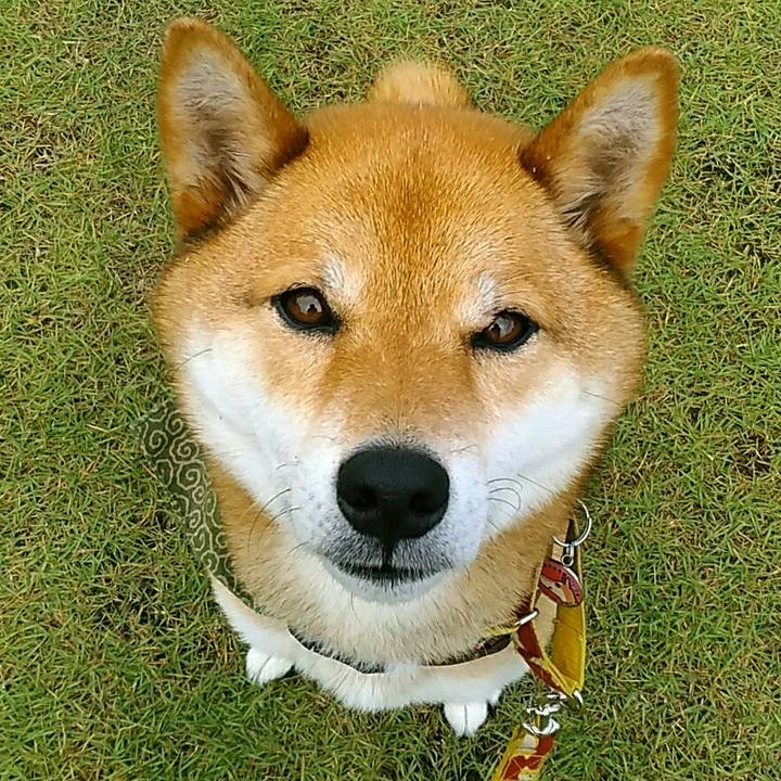 6904e140 b9fa 4c74 a3bd ec84b3e974ed 1528332014770