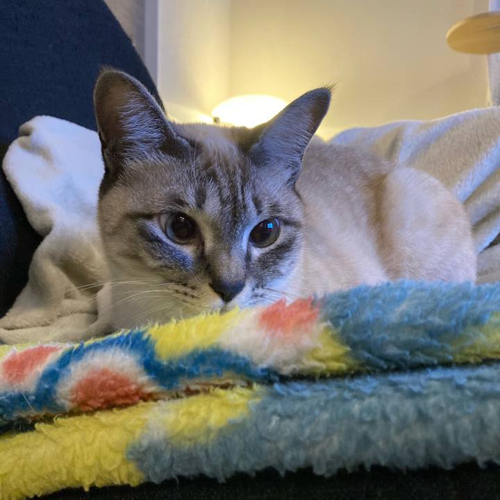 6904fd9e 0427 4fb3 b04c db5bb79a4ab1 1611058956050