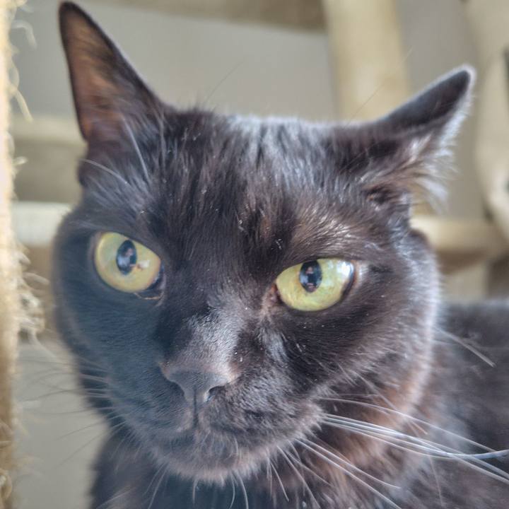 690541ff 42d4 42f3 989c 50ba4cec2ab0 1750718015820