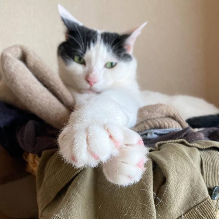 690569d2 81e1 41d8 9860 ac887394bf11 1624328042510