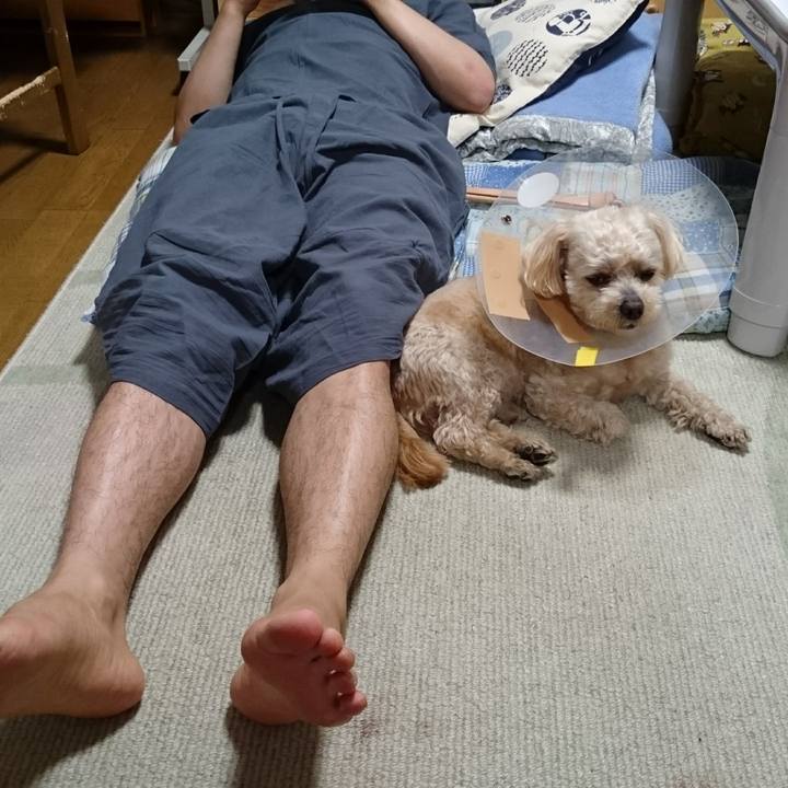 6905a644 a2e1 4cd4 ac6a e2b0c9835636 1590843240384