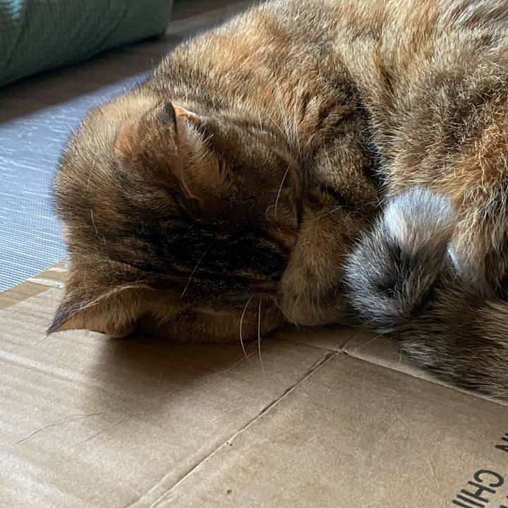 6905b6cc 5408 4e1f 893d 81c9c29ed741 1610954295165