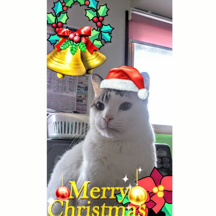 6905d19e 35dd 49d7 9a3e 6144d673122f 1514206967301