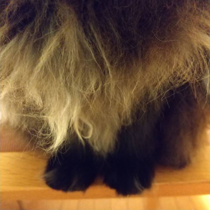 6905dce3 252c 44c7 ba2a a26dcc69855a 1615896134649