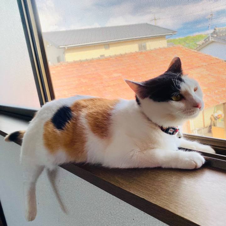 6906090d 5e71 4c70 bb1b c7240c475b41 1659860870905