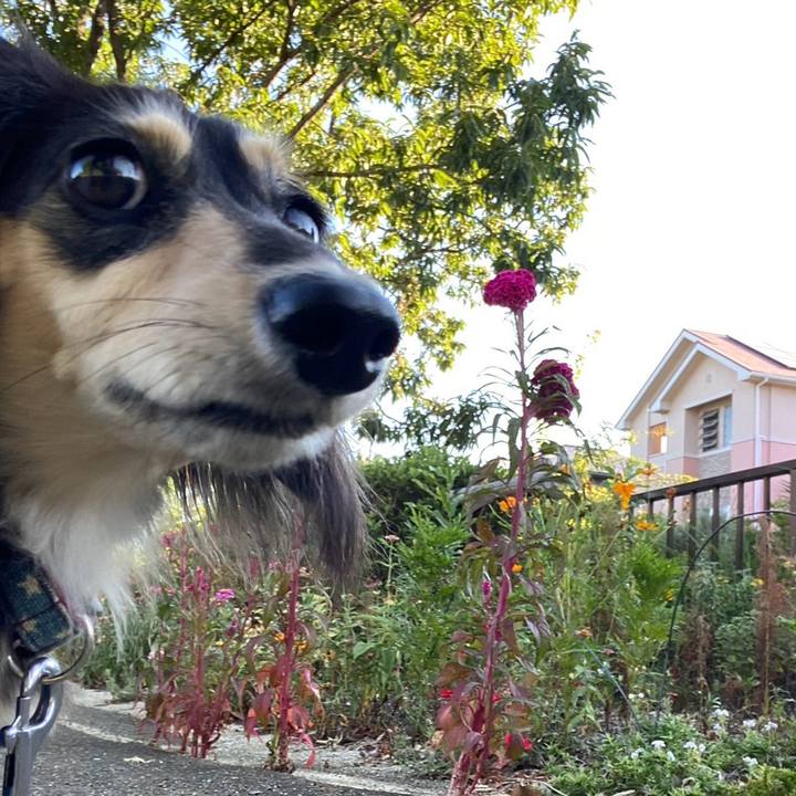 6906b885 a3a2 4f57 b69e 0295e885e893 1756783822248