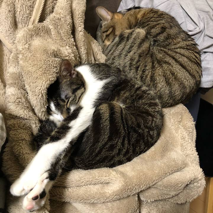 6906d2d8 71ec 4873 981f e0945cd44829 1515323215157