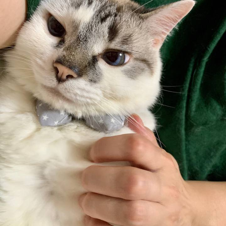 690714d9 c508 4417 94dd 983aa4ea9a8e 1591864373628