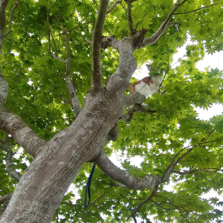 69071bc1 f8a9 4d34 942a 3275cf5a11c5 1525598618049