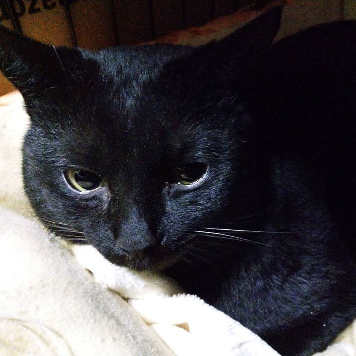 69073fdf de26 4090 9bfb 76a5daebc85d 1556498901241