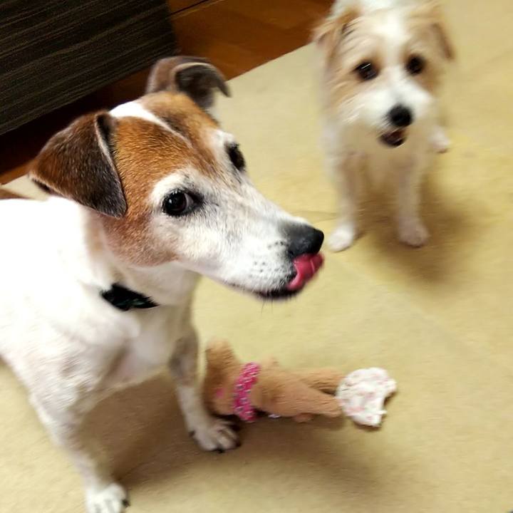 69075eaa 53ea 4e83 9400 f02c2433efd3 1529834478544