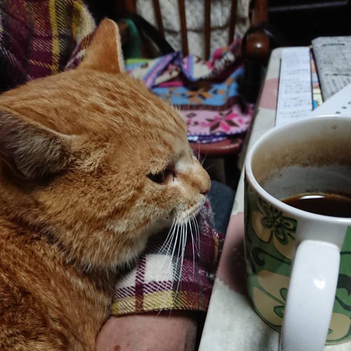 69075ee2 c054 43f0 8186 14dd38ed5bef 1579898969999