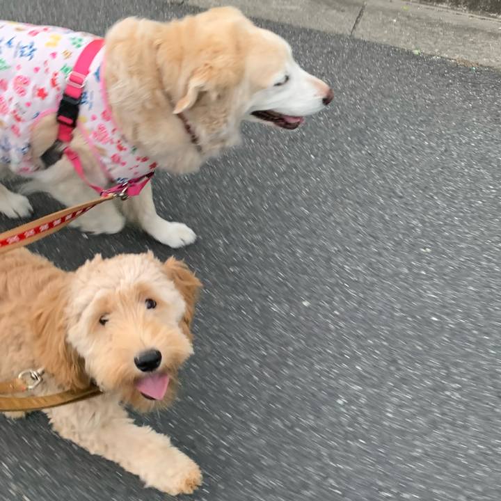 69077aba 044a 45b9 b490 82dfafda76b0 1687822509059