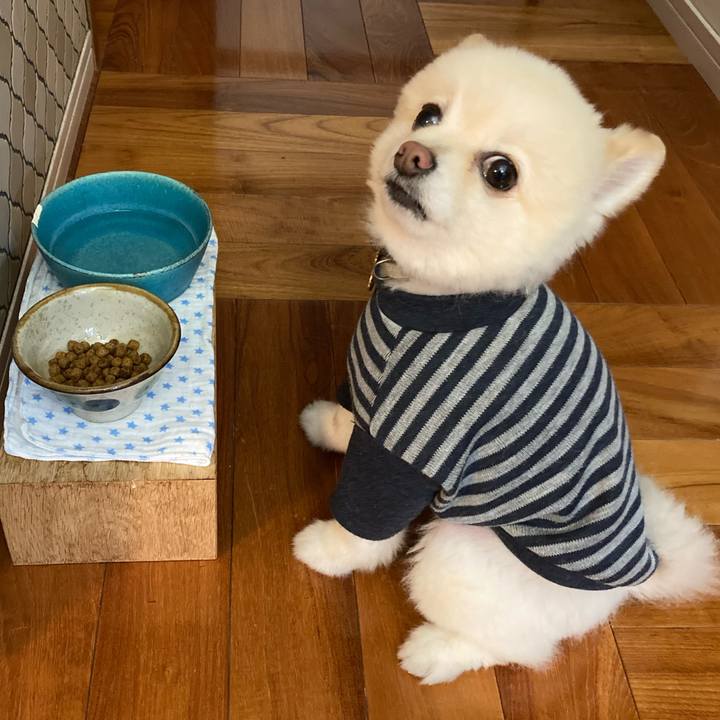 69079c6b 1eda 425f b504 3a0d5ab1640e 1639439427409