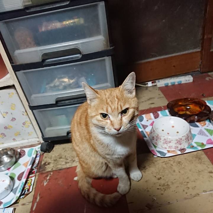 6907ca88 02a9 4206 b8e2 ee6511490fc4 1586894185039