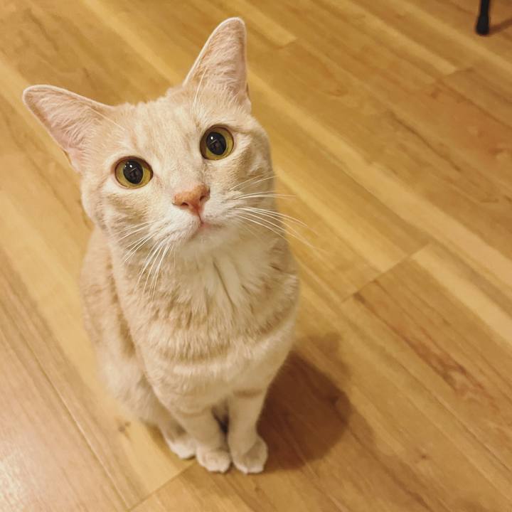 690801cd d194 4269 9b71 f601744c6ff9 1628431603554