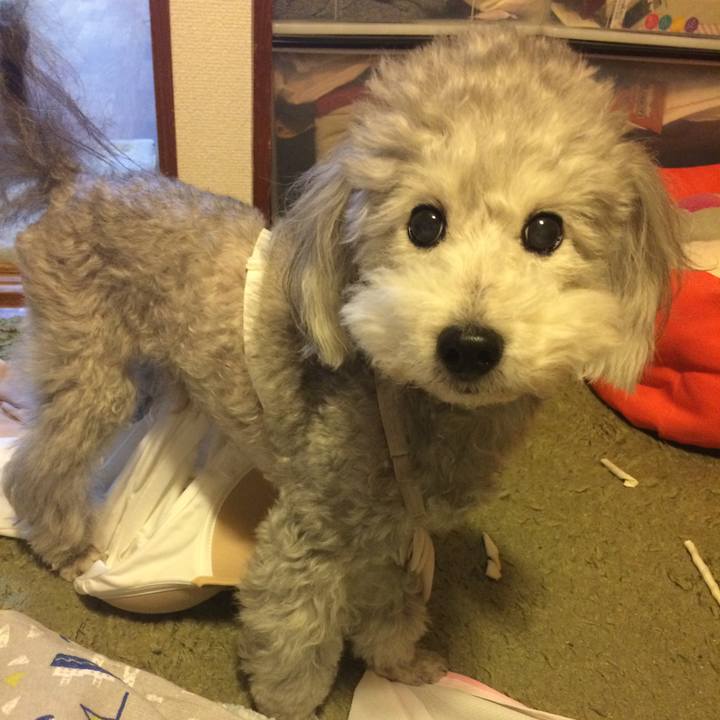 69081f81 7487 4a6a 9efa d3627c0066a7 1517744880329