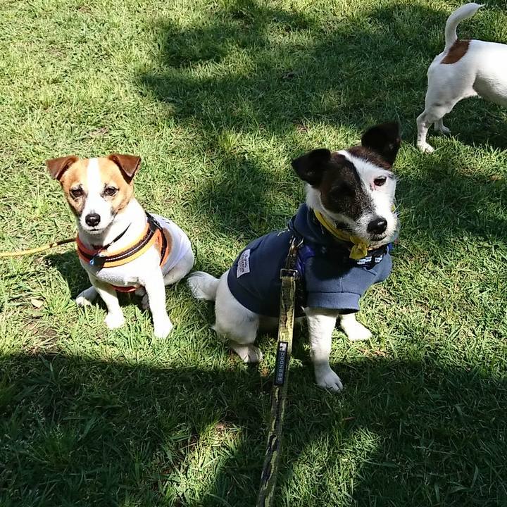 69083269 8167 44bc b643 7feff4e6d381 1526124852940