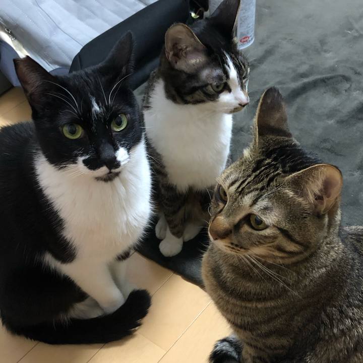 690862b5 8e04 4136 81f8 f4dcde16f8c6 1577850519917