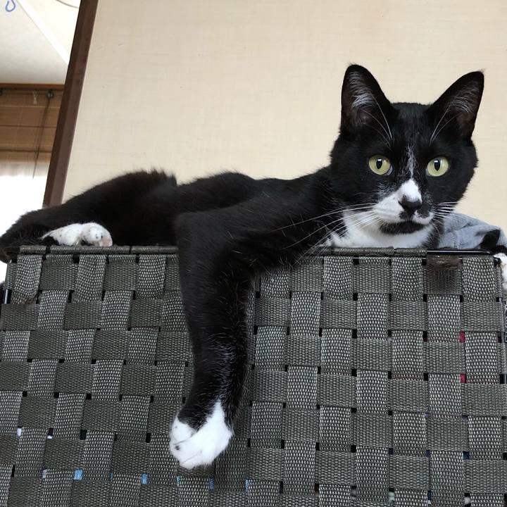 6908a705 475d 42cb 984c 34ef00afa053 1629689461708