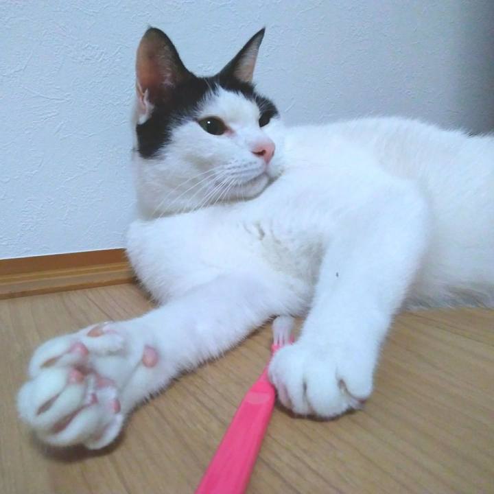 6908b7a3 1695 460a 8341 86f48e27fad5 1540732780732