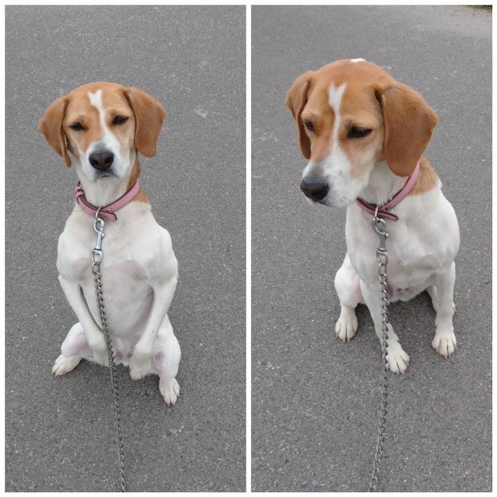 6908f859 4d8b 4c16 8907 0988475f9734 1590138004700