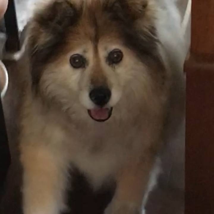 690904af bc7c 48de a2d0 a2e6b44748d2 1570512049465