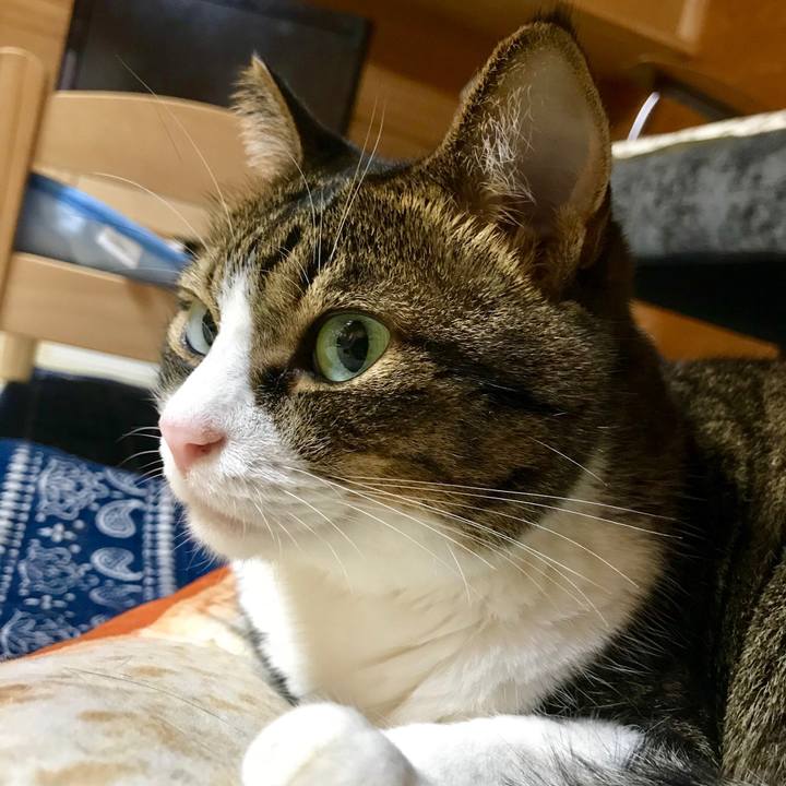 69090bc0 2852 45f5 8177 a4e43dedd440 1537020087343