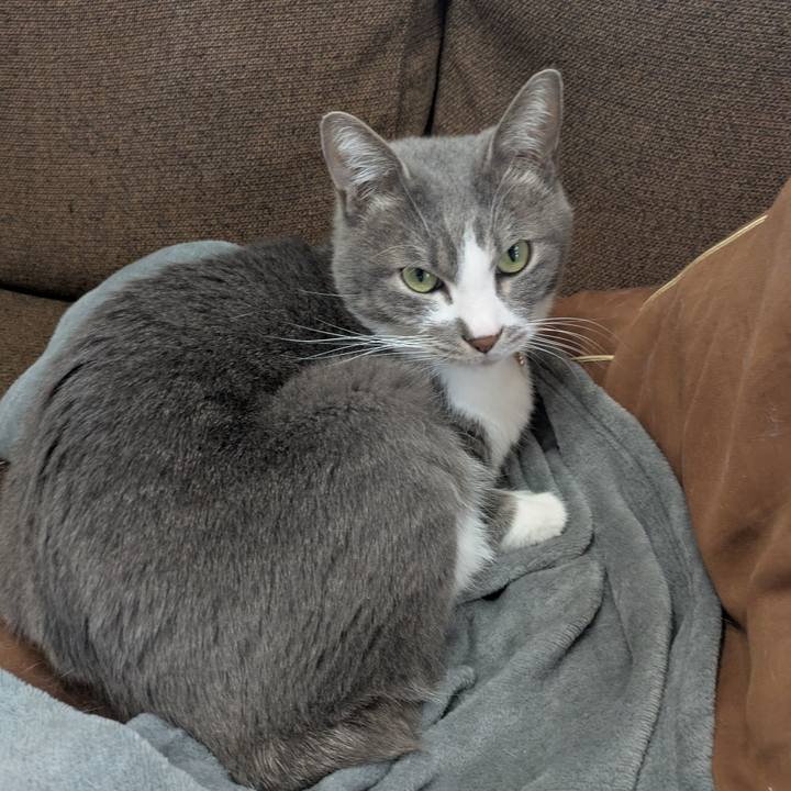 6909581a c256 4f33 b533 e68c925a109f 1739758856710