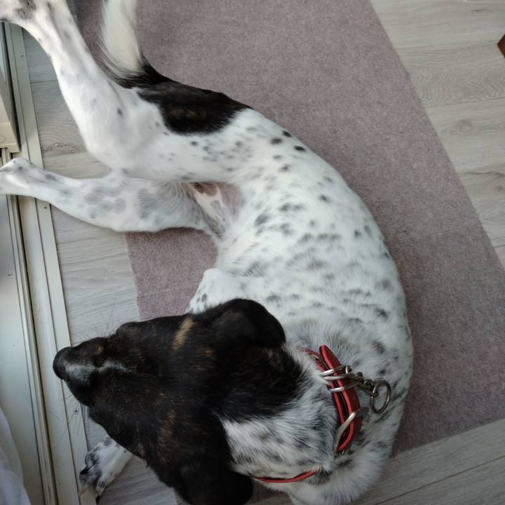 69096ca7 de95 41cc 826b 3c5c48a4ceec 1689891313326