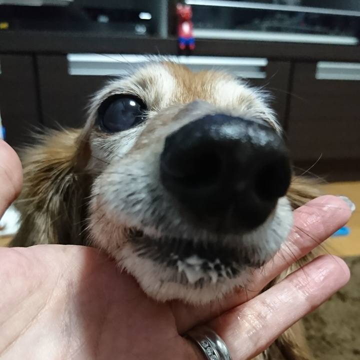 69096db0 8072 4f87 ba7f f6bfbd90ddbf 1512811007585