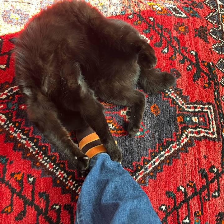 69097049 ddcd 4179 99f7 69778bf0d8b8 1737515815649