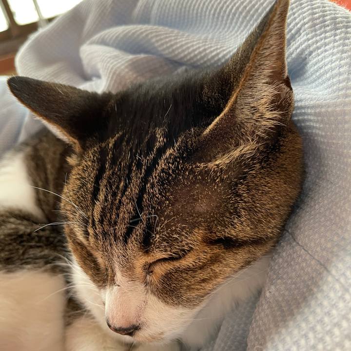 6909a09d 7596 4c07 84de 096b337a547d 1605489886234