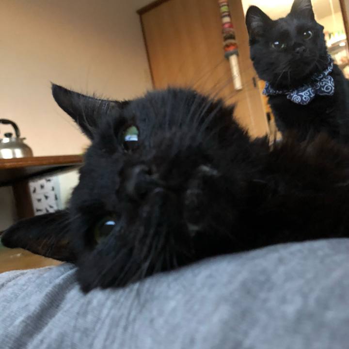 6909ee0e 7992 4c92 af6e 613dacf06477 1558301369742