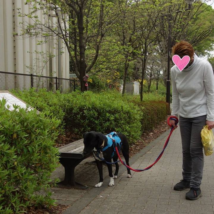 690a39d2 708f 4894 abe3 68d890e79c7c 1617324408743