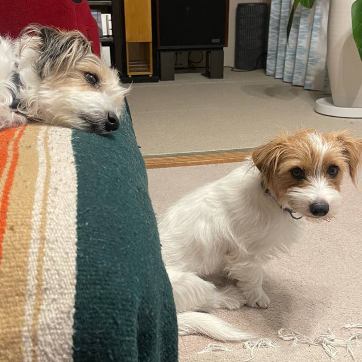 690a3bb8 2830 4c27 989c cdb69602960a 1773227647640