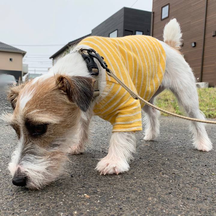 690a5dbe 3000 4d90 a114 be7269d4e49b 1595066822676