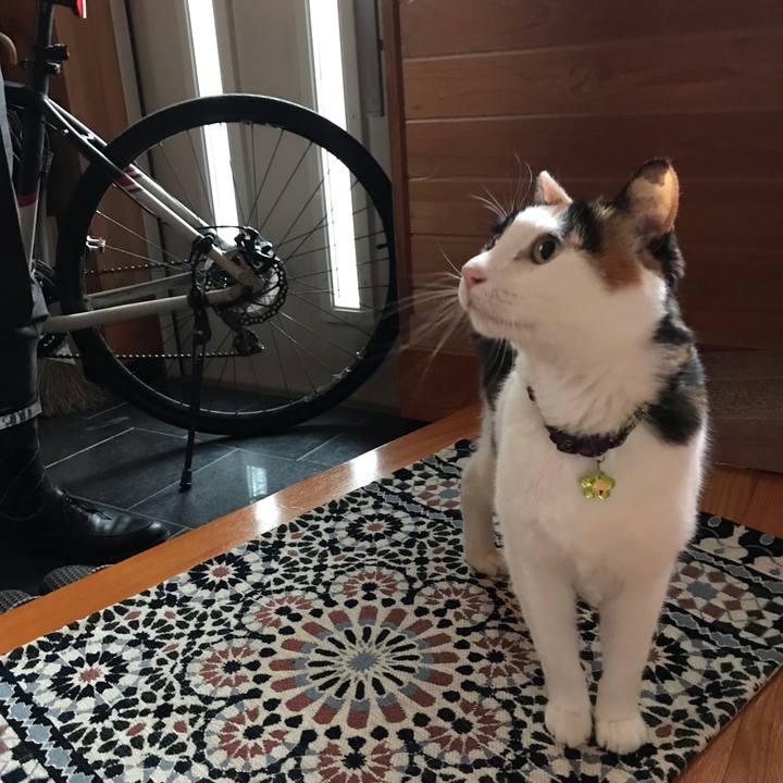 690a8132 8b32 4a61 9ff5 8fa9d8946762 1543274733198