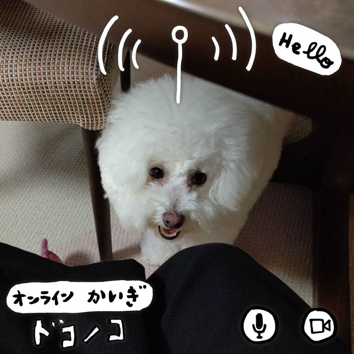 690a93b6 e9fa 4249 a7c5 e33e64dd1b7e 1590737336053