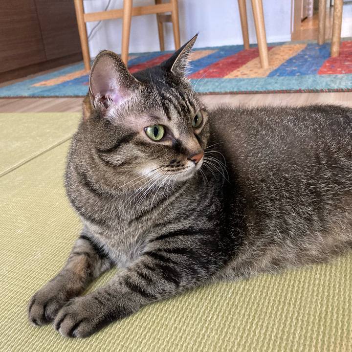 690a9486 fd32 4ce8 bdea 0b6f9f2a4e2c 1752808315764