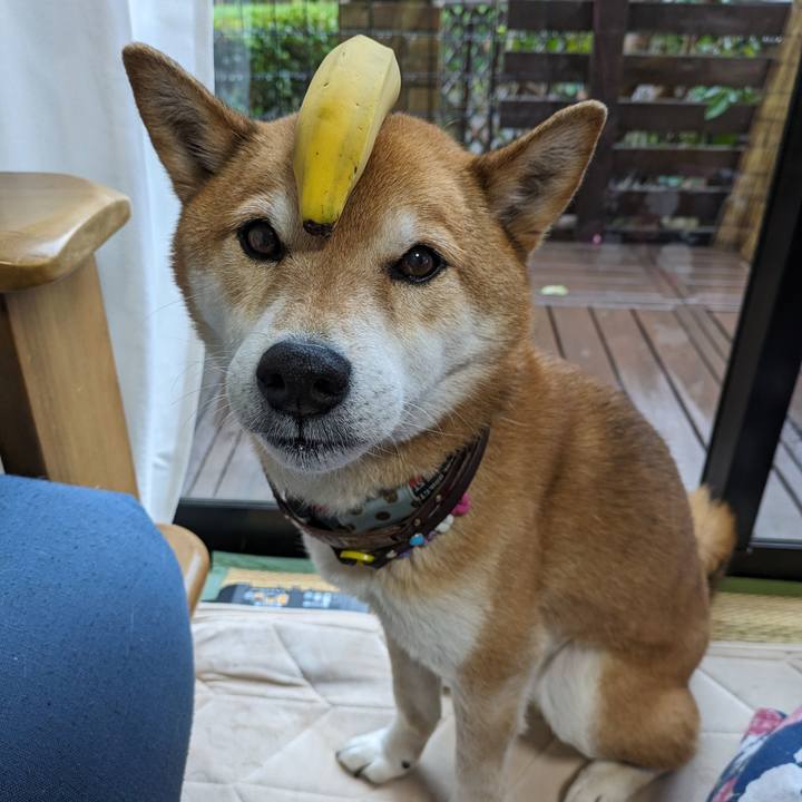 690aa85e d3f8 42bb b7d6 0a5293a62783 1708605066340