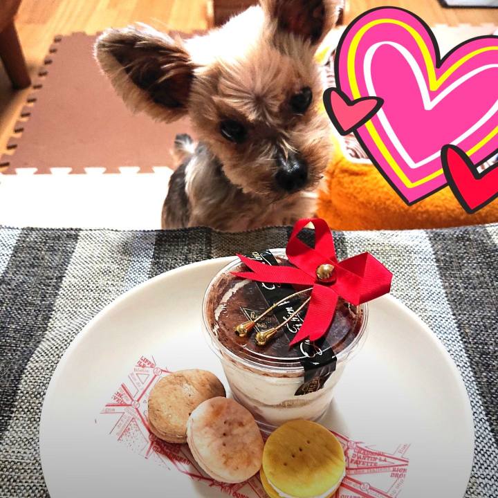 690adc34 ba4e 4bd6 b86f 61d347d21554 1584223867407