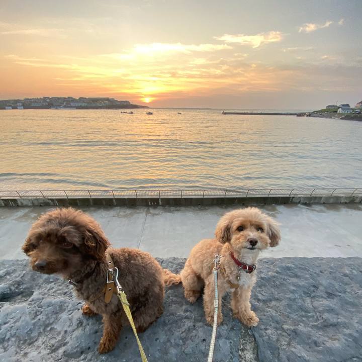 690afa9c 3363 4b27 9871 a0e66d6cb978 1600628815011